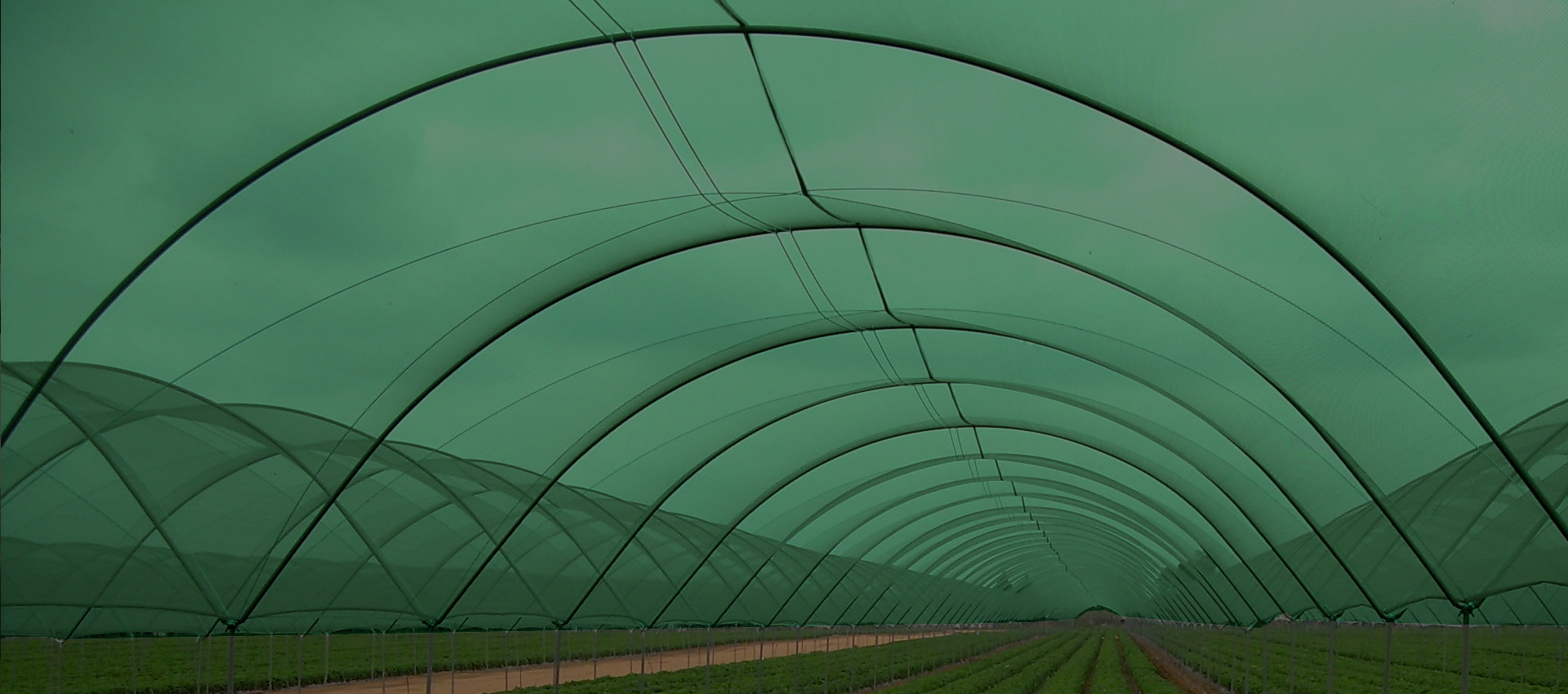 Shade nets